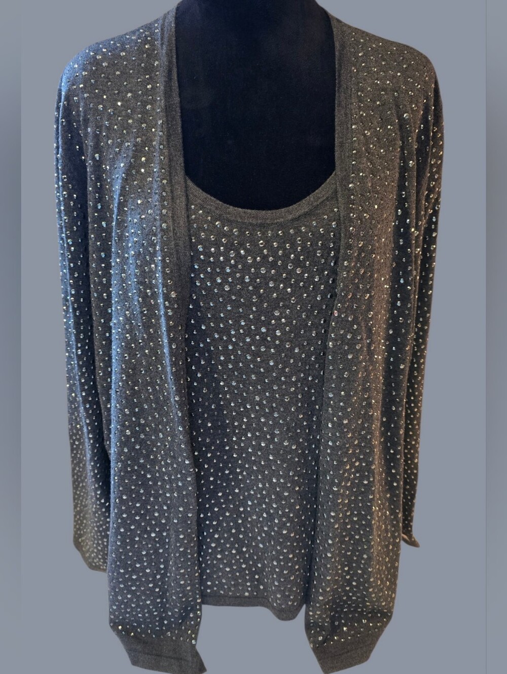 Chicos 2 Pc Tank And Sweater Large